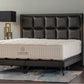 Boxspringbett Chill
