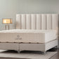 Boxspringbett Stripe Vertical